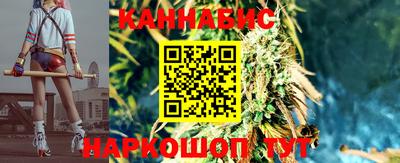 гидропоника Краснознаменск