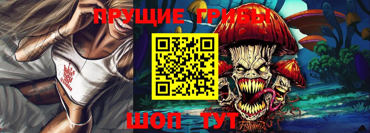 Калининград  Галлюциногенные грибы Psilocybine cubensis  Вход с VPN 